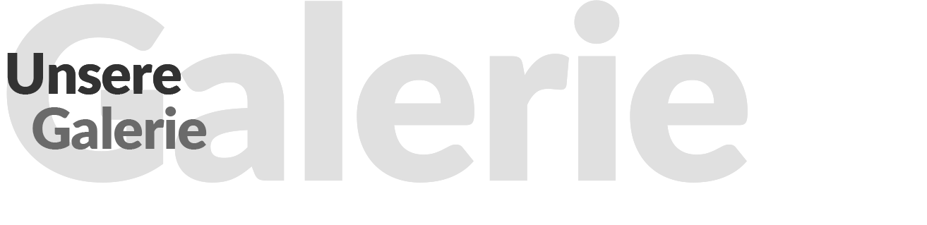 gallery-image-title