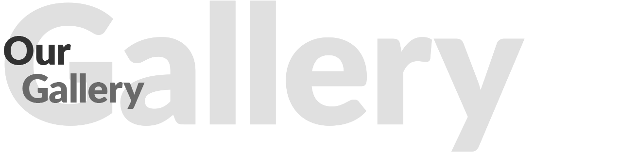 gallery-image-title